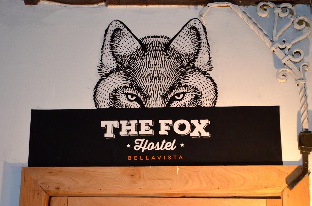 The Fox Affittacamere 2*