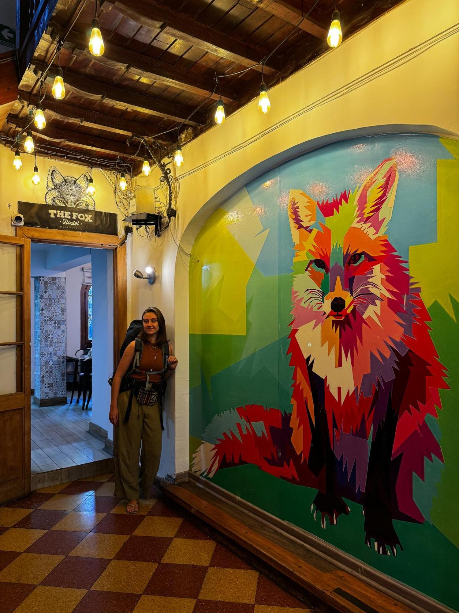 The Fox Affittacamere 2*