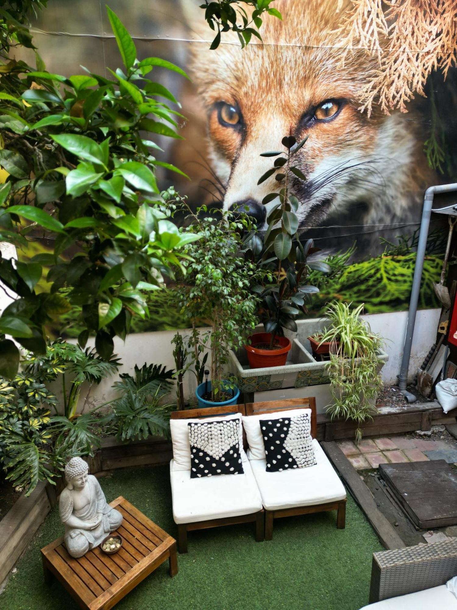 The Fox Santiago del Cile